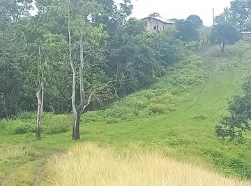 Hacienda-Quinta · Finca en La Zona Dos Hermanas, El Carmen Manabi