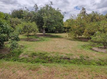 Terreno / Lote , Quito · Vendo 1.160 m² Guayllabamba Sector Sebauco (Edvi)