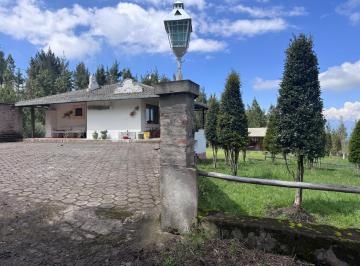 Hacienda-Quinta de 8 habitaciones, Quito · Venta de Hacienda Ganadera en Pintag
