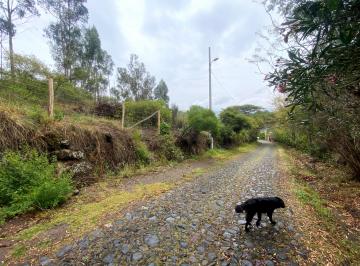 Terreno / Lote , Quito · Terreno de Venta Tumbaco 4.000 m² $650.000