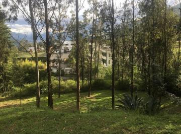 Terreno / Lote · 3485m² · Jal. Venta Terreno Cumbayá, 3.485 m² Colegio Terranova