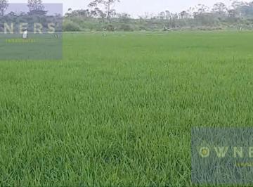 Terreno / Lote · 131100m² · Venta Propiedad Agricola Ricaurte (Vm)