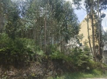 Terreno / Lote · 724m² · Terreno Norte Detras de Baguette