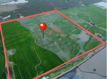 Terreno / Lote , Daule · Se Vende Terreno en Km 15 Vía Salitre