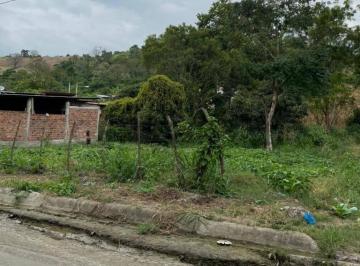 Quinta vacacional · 1m² · Venta de Finca Productiva en Jipijapa
