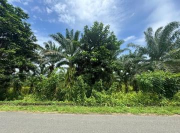 Hacienda-Quinta · 450000m² · Finca con Palma Africana y Piscina de Camarones