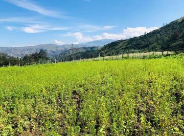 Hacienda-Quinta , Quito · Vendo Guayllabamba 50 Ha Cerca del Centro
