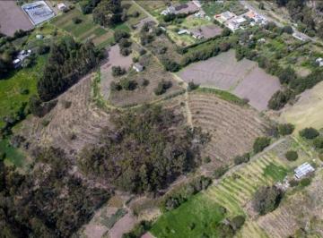Terreno / Lote · 800m² · 4 Habitaciones · Ambato, Quero Terreno en Venta, 62000 m² 6.2hectáreas