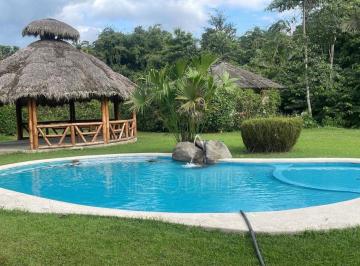 Quinta vacacional , Puerto Quito · Hostería en Excelente Zona Turística de Puerto Quito
