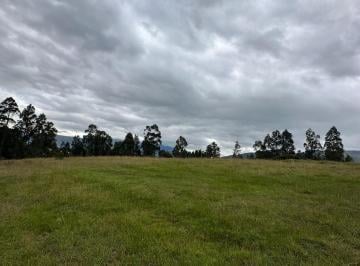 Terreno / Lote de 1 habitación, Quito · Vendo Hermosos Terrenos Sector Betania Desde $85.000