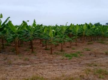 Terreno / Lote · 740000m² · ¡Oportunidad de Inversión Agrícola! Finca en Venta – 74 Hectáreas Productivas