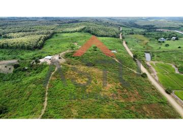 Terreno / Lote de 1 habitación, Pedro Carbo · Venta de Hectáreas en Pedro Carbo