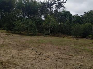 Terreno / Lote , Pedro Vicente Maldonado · En Venta Terrenos en Urbanización Privada, Pedro Vicente Maldonado Cerca a Quito