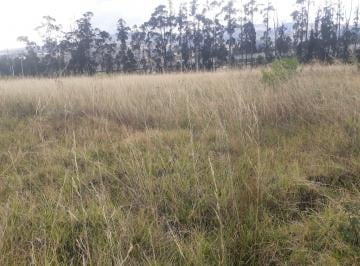 Terreno / Lote , Quito · Se Vende Terreno Comercial Plano Solanda San Bartolo