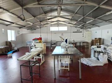 Bodega-Galpón de 2 habitaciones, Quito · Galpon en Venta Ideal Negocio o Emprendimiento Sector Cotogchoa