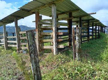 Hacienda-Quinta , Los Bancos · Venta 105 Hectáreas en San Miguel de Los Bancos, Recinto Nuevo Mundo