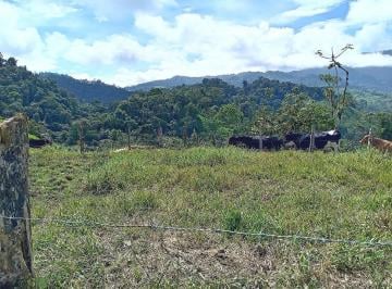 Hacienda-Quinta , Los Bancos · Finca en Venta en Los Bancos | 105 Hectáreas | Producción Ganadera y Potencial Ecoturístico