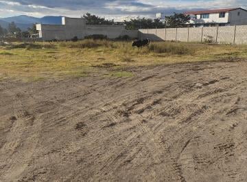 Terreno / Lote , Quito · Vendo Terreno Planito en Tumbaco Sector Tola Chica