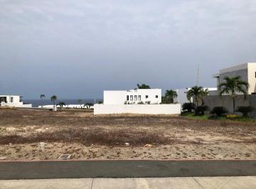 Terreno / Lote , Manta · Terreno de Venta en Urbanización Marina Blue Manta B/l