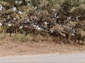 - venta de Terreno Agrícola ubicado en km30 vía a la costa , sector el Daular .
· Terreno Agrícola en Venta 21has en Vía a La Costa Km 30 C Alvarez