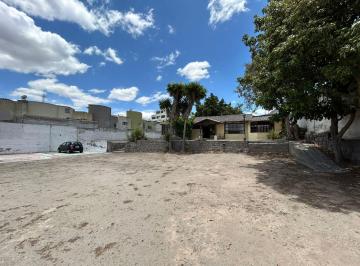 Terreno / Lote · 250m² · 4 Habitaciones · 20 Estacionamientos · Terreno en Alquiler Calle Mariano Pozzo Carcelen Industrial I2