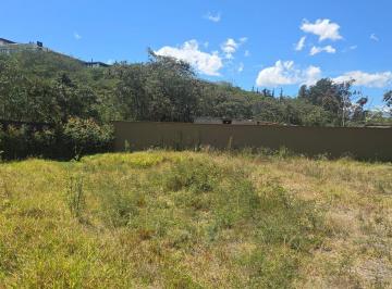 Terreno / Lote · 725m² · Terreno Venta Riel de La Viña