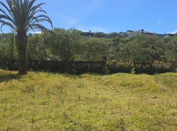 Terreno / Lote · 725m² · Terreno Venta Riel de La Viña