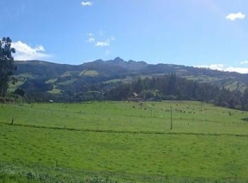 Hacienda-Quinta de 4 habitaciones, Quito · Venta de Hacienda en Los Chillos Sector del Pasochoa de 500ht