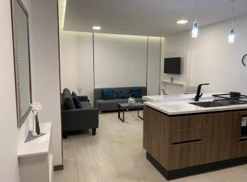 Departamento · 53m² · 1 Habitación · 1 Estacionamiento · Mv - Sector La Carolina, en Venta Espectacular Suite 53.53 m²