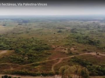 Terreno / Lote , Palestina · En Venta Terreno 96 Hectáreas, Vía Palestina - Vinces - J. Zavala