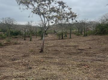 Terreno / Lote , Montecristi · Vendo Terreno de 18.000 m² en Los Bajos Vía a Río Caña Ruta del Spondylus