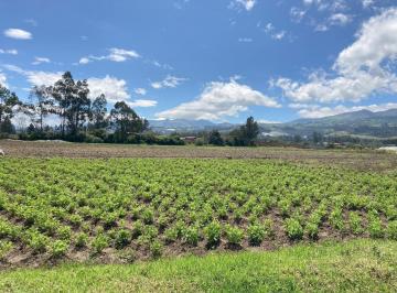 Terreno / Lote · 25000m² · Venta de Terreno en Tababela, Muy Bien Ubicado Pr