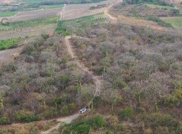 Terreno / Lote · 20000ha · Venta de Finca en El Cantón Jaramijó - 21.951 m². A. G