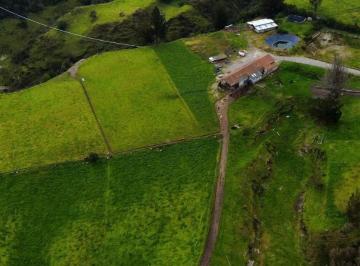 Hacienda-Quinta de 3 habitaciones, Cotacachi · Inversión Ideal Para Producción