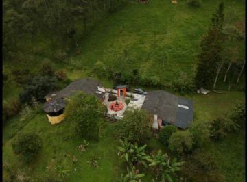 Hacienda-Quinta · 795000m² · Quinta - Quito