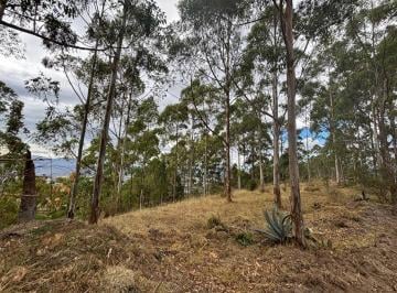 Terreno / Lote , Quito · Terreno en Venta La Tola Grande - Luzon - Tumbaco
