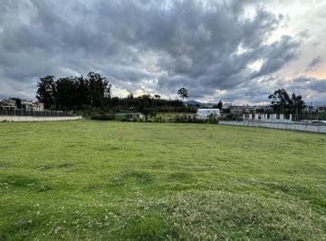 Terreno / Lote · 8000m² · Terreno en Alquiler Pifo Carreterra Panamericana Via Aeropuerto