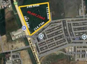 Terreno / Lote , Daule · Venta 49.687 m², Vía Salitre, Km 8, Cantón Daule, Esq. Comercial - Habitacional