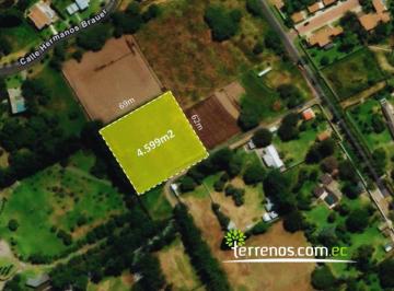 Terreno / Lote · 4599m² · Terreno Independiente de Venta en Puembo 4.599 m², Vía Arrayanes.