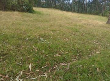 Terreno / Lote , Quito · Terreno en Renta 6000 m² Sector Uyumbicho