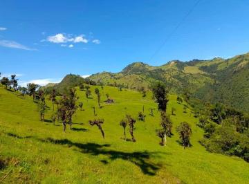 Hacienda-Quinta , Sigchos · Espectacular Propiedad Agrícola - Ganadera con Proyección Turística