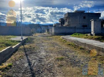 Terreno / Lote · 1m² · Terreno Plano en Venta Valle de Los Chillos Sector Colegio La Salle