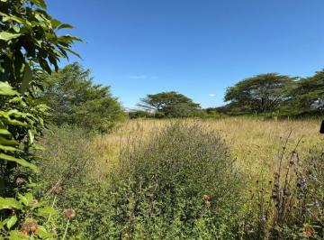 Terreno / Lote · 1266m² · Terreno en Venta - Puembo, Sector Arrayanes