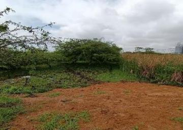Terreno / Lote · 3000m² · Terreno Plano y Delimitado – 3.000 m² en Las Brisas, Durán Lote 69