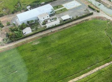 Terreno / Lote de 3 habitaciones, Yaguachi · Vendo Terreno con Galpon y Helipuerto Via Yaguachi