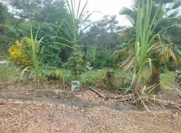 Terreno / Lote , Puerto Quito · Puerto Quito, Urb El Manatial Vendo 2 Lotes 1345 m²