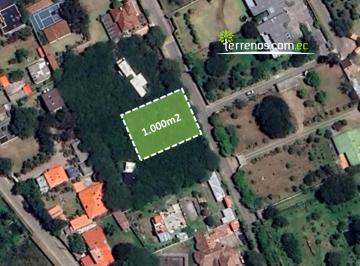Terreno / Lote · 1000m² · Terreno en Vena de 1000 m², en Las Urb Las Peñas. Tumbaco