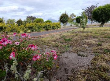 Terreno / Lote · 832m² · Vía Guayllabamba, de Oportunidad Terreno en Venta, 832 m²