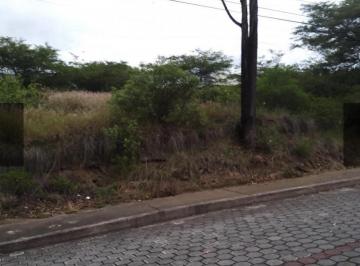 Terreno / Lote · 500m² · Terreno - Nayón