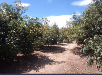 Terreno / Lote , Quito · Terreno de Venta en Guayllabamba